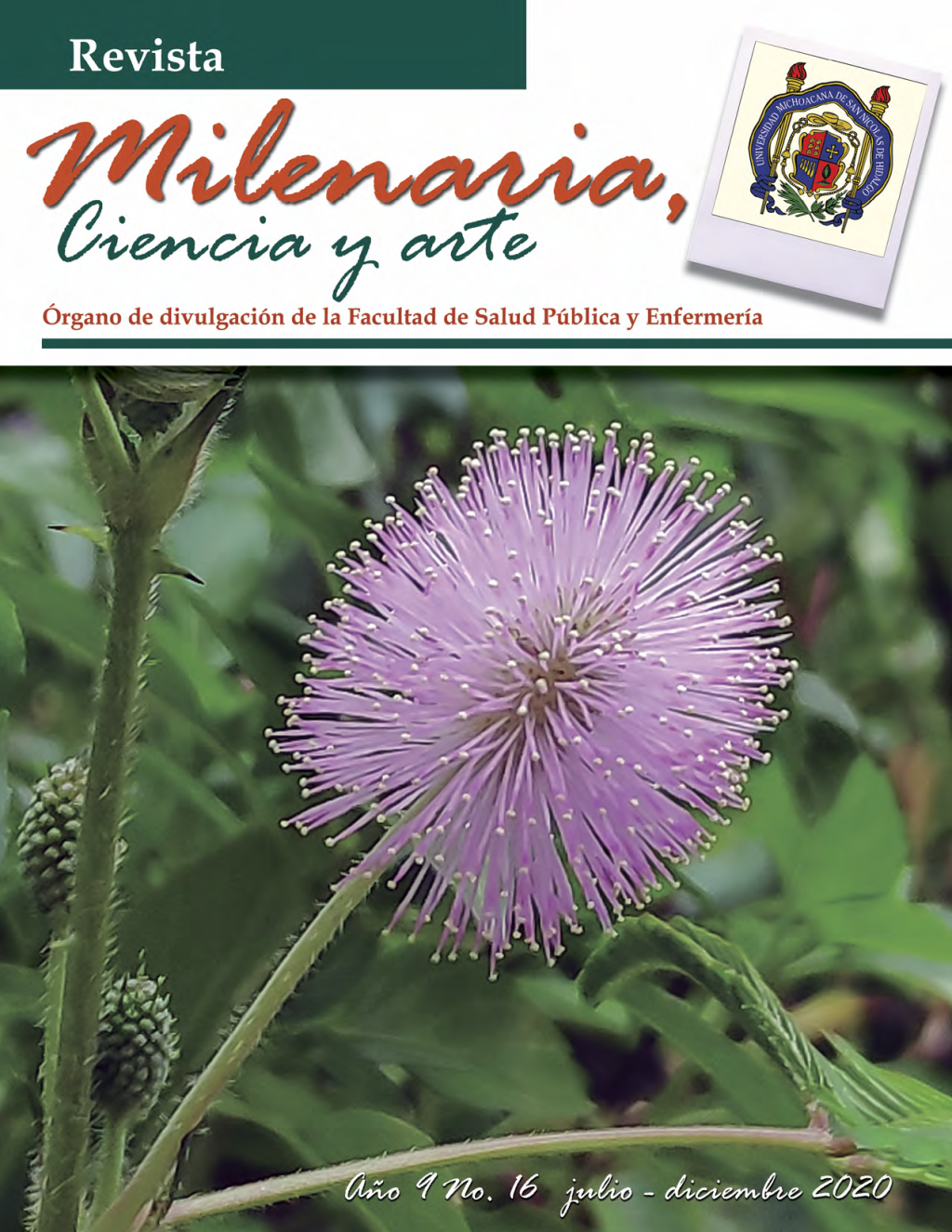 Portada de milenaria año 9 y no. 16