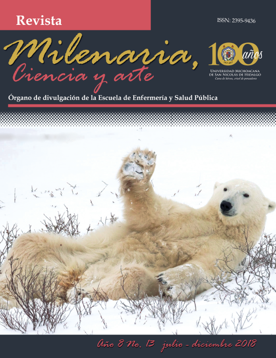 Portada de milenaria año y no. 13